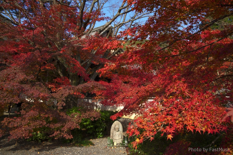 床紅葉で有名な 実相院門跡 京都市