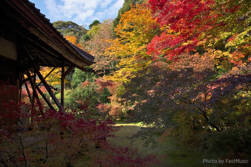 床紅葉で有名な 実相院門跡 京都市